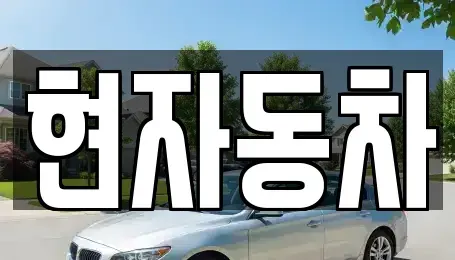 서울특별시 성동구 금호동4가 중고차 전문 현자동차