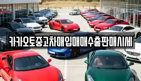 서울특별시 성동구 금호동4가 중고차매입 전문 카카오토중고차매입매매수출판매시세