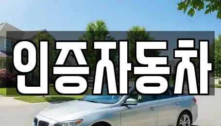 서울특별시 성동구 하왕십리동 중고차 전문 인증자동차