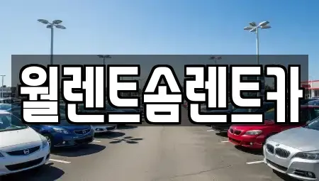 서울특별시 성북구 돈암동 렌트카 전문 월렌트솜렌트카