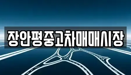 서울특별시 성북구 돈암동 중고차매매 전문 장안평중고차매매시장