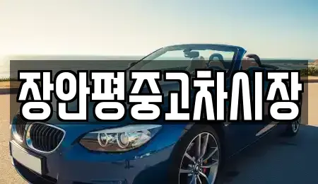 서울특별시 성북구 돈암동 중고차매매 전문 장안평중고차시장