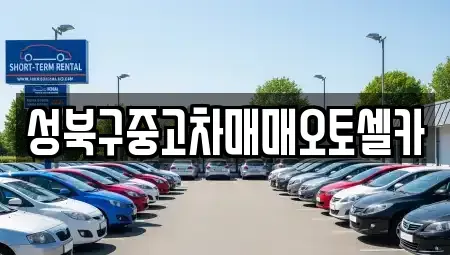 서울특별시 성북구 동선동4가 중고차매매 전문 성북구중고차매매오토셀카