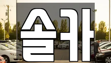 서울특별시 성북구 동선동4가 중고차매매 전문 솔카