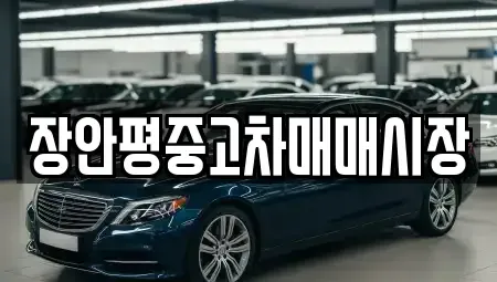 서울특별시 성북구 동선동4가 중고차매매 전문 장안평중고차매매시장