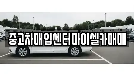 서울특별시 성북구 동선동4가 중고차매입 전문 중고차매입센터마이셀카매매