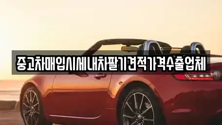 서울특별시 성북구 동선동4가 단기렌트카,중고차매입,중고차매매,중고차,렌트카,장기렌트카