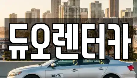 서울특별시 성북구 보문동1가 렌트카 전문 듀오렌터카