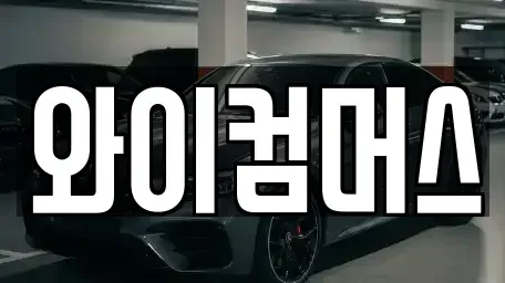 서울특별시 성북구 보문동1가 렌트카 전문 와이컴머스