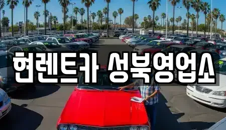 서울특별시 성북구 보문동1가 렌트카 전문 현렌트카 성북영업소