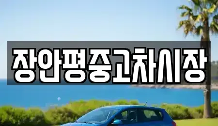 서울특별시 성북구 보문동1가 중고차매매 전문 장안평중고차시장