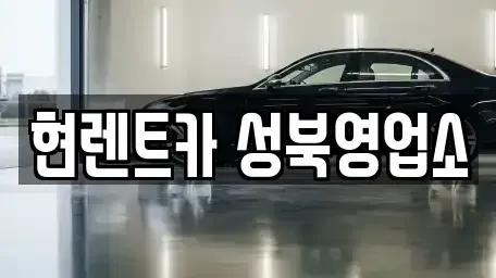 서울특별시 성북구 보문동2가 렌트카 전문 현렌트카 성북영업소