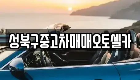 서울특별시 성북구 보문동2가 중고차매매 전문 성북구중고차매매오토셀카