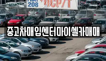 서울특별시 성북구 보문동2가 중고차매입 전문 중고차매입센터마이셀카매매