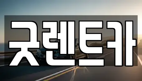 서울특별시 송파구 삼전동 단기렌트카 전문 굿렌트카