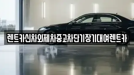 서울특별시 송파구 삼전동 단기렌트카 전문 렌트카신차외제차중고차단기장기대여렌트카