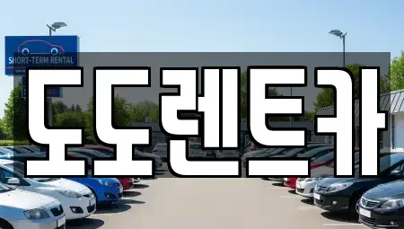 서울특별시 송파구 삼전동 렌트카 전문 도도렌트카