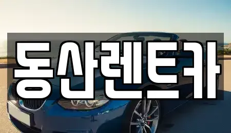 서울특별시 송파구 삼전동 렌트카 전문 동산렌트카