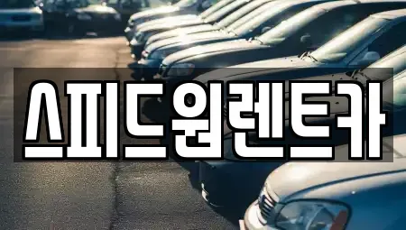 서울특별시 송파구 삼전동 렌트카 전문 스피드원렌트카