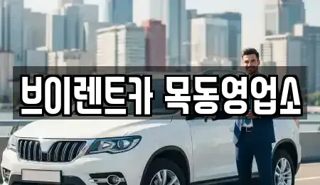 서울특별시 양천구 신정동 단기렌트카 전문 브이렌트카 목동영업소