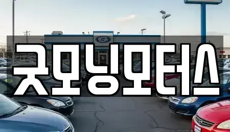 서울특별시 양천구 신정동 중고차 전문 굿모닝모터스