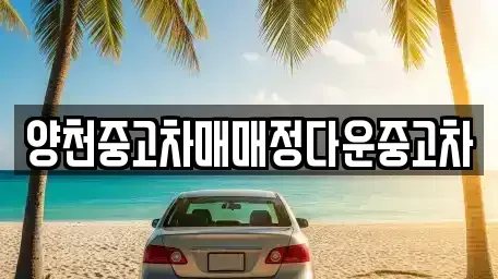 서울특별시 양천구 신정동 중고차 전문 양천중고차매매정다운중고차