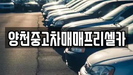 서울특별시 양천구 신정동 중고차 전문 양천중고차매매프리셀카