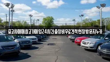 서울특별시 양천구 신정동 중고차매입 전문 중고차매매최고가매입24시간출장비무료견적현장방문지누카