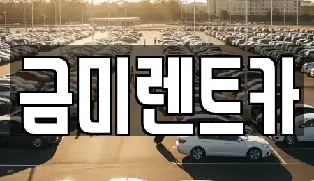 서울특별시 영등포구 문래동5가 장기렌트카 전문 금미렌트카