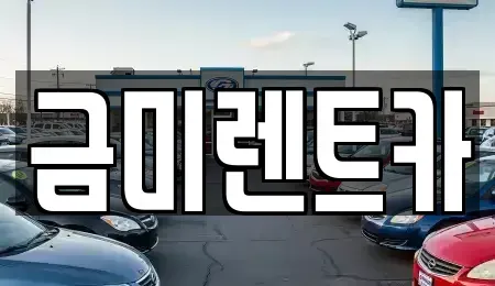 서울특별시 영등포구 영등포동7가 렌트카 전문 금미렌트카