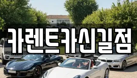 서울특별시 영등포구 영등포동7가 렌트카 전문 카렌트카신길점