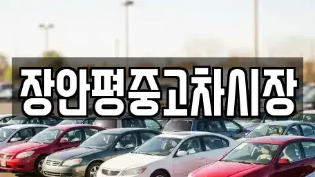 서울특별시 용산구 용산동5가 중고차 전문 장안평중고차시장