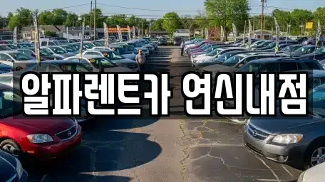 서울특별시 은평구 녹번동 렌트카 전문 알파렌트카 연신내점