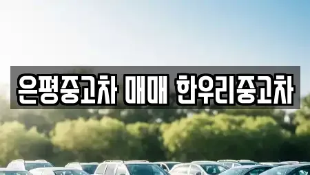 서울특별시 은평구 녹번동 중고차 전문 은평중고차 매매 한우리중고차
