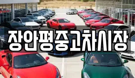 서울특별시 은평구 녹번동 중고차 전문 장안평중고차시장