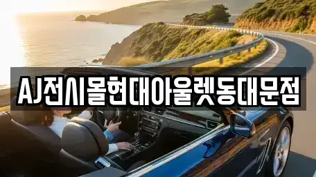 서울특별시 종로구 이화동 장기렌트카 전문 AJ전시몰현대아울렛동대문점