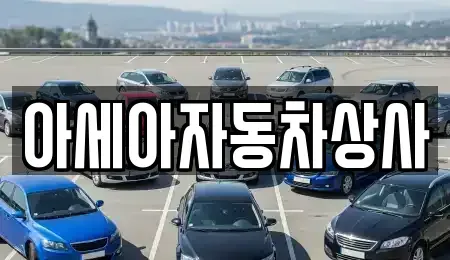 서울특별시 종로구 이화동 중고차 전문 아세아자동차상사