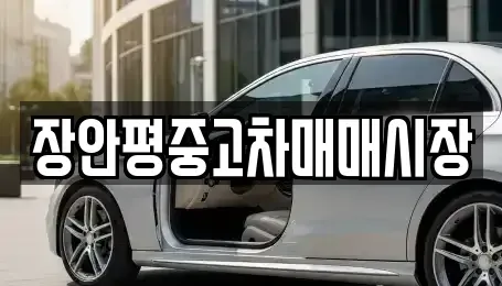 서울특별시 종로구 이화동 중고차 전문 장안평중고차매매시장