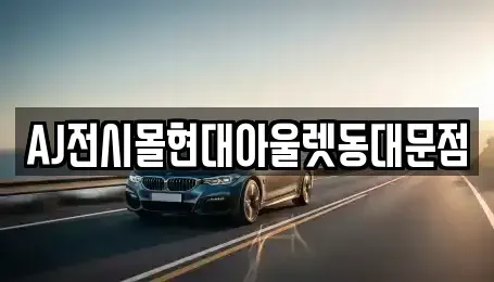 서울특별시 종로구 효제동 렌트카 전문 AJ전시몰현대아울렛동대문점