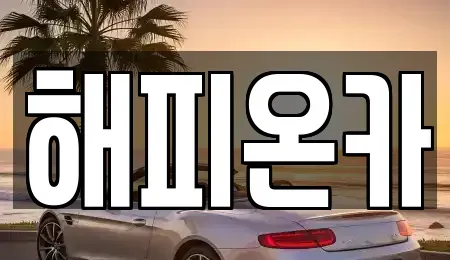 서울특별시 종로구 효제동 중고차매매 전문 해피온카