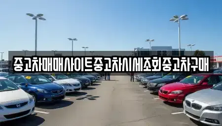 서울특별시 중구 남산동3가 중고차매매 전문 중고차매매사이트중고차시세조회중고차구매