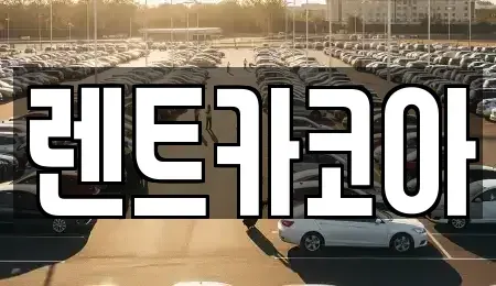 서울특별시 중구 저동1가 렌트카 전문 렌트카코아