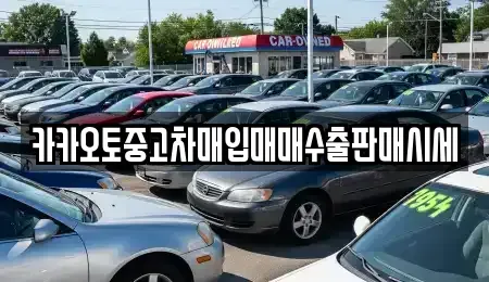 서울특별시 중구 저동1가 중고차매입 전문 카카오토중고차매입매매수출판매시세