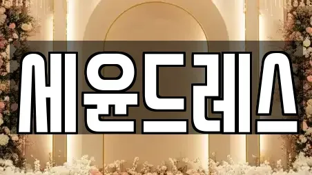 세윤드레스