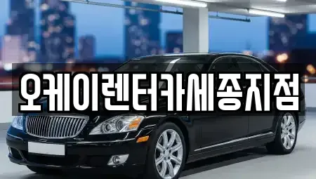 세종 전동면 렌트카 전문 오케이렌터카세종지점