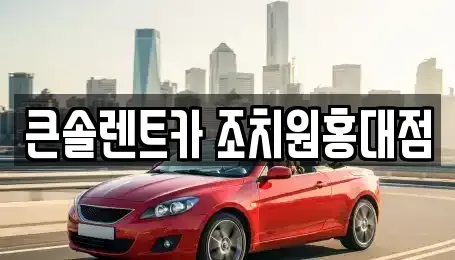 세종 전동면 렌트카 전문 큰솔렌트카 조치원홍대점