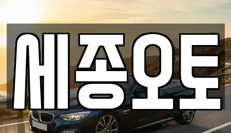 세종 전동면 중고차 전문 세종오토