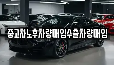 세종 전동면 중고차 전문 중고차노후차량매입수출차량매입