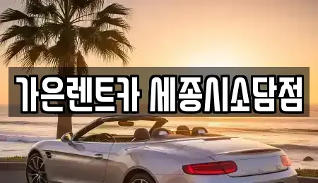 세종 집현동 렌트카 전문 가은렌트카 세종시소담점
