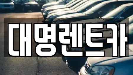 세종 집현동 렌트카 전문 대명렌트카